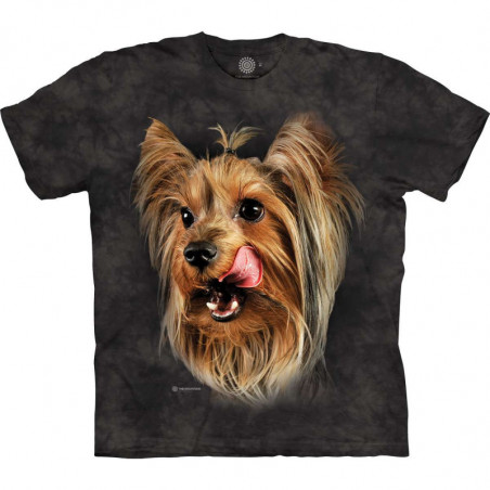 Yorkshire Terrier Portrait