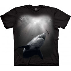 Sunburst Shark T-Shirt