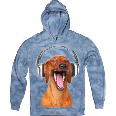 Dachshund Listen Music in Headphones Hoodie