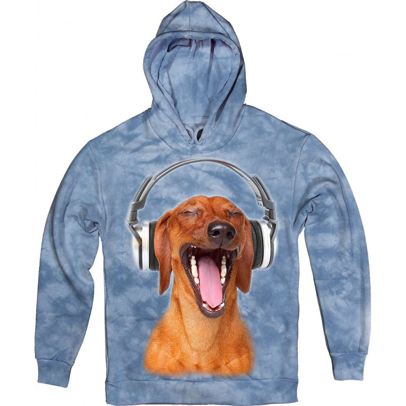 Dachshund Listen Music in Headphones Hoodie