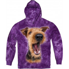 Excited Airedale Terrier in purple Hoodie