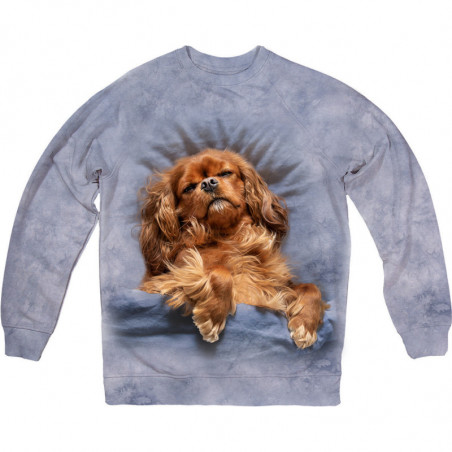 Happy Spaniel Sleeping Sweatshirt