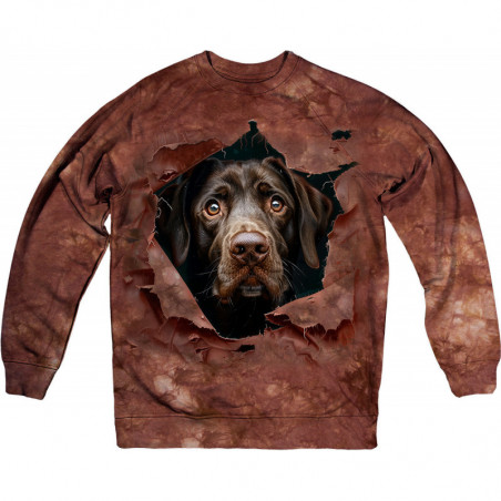 Brown Lab Breakthrough Sweatshirt