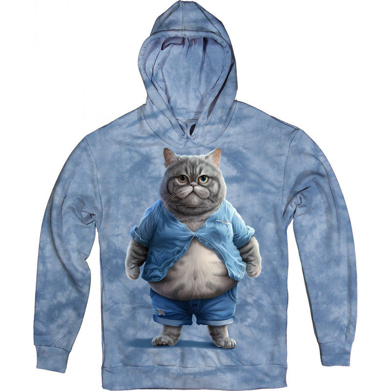 Cat with Belly in Blue Hoodie