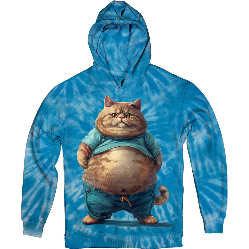 Fat Cat in Blue Hoodie