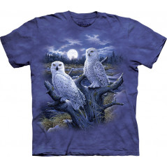 Snowy Owls