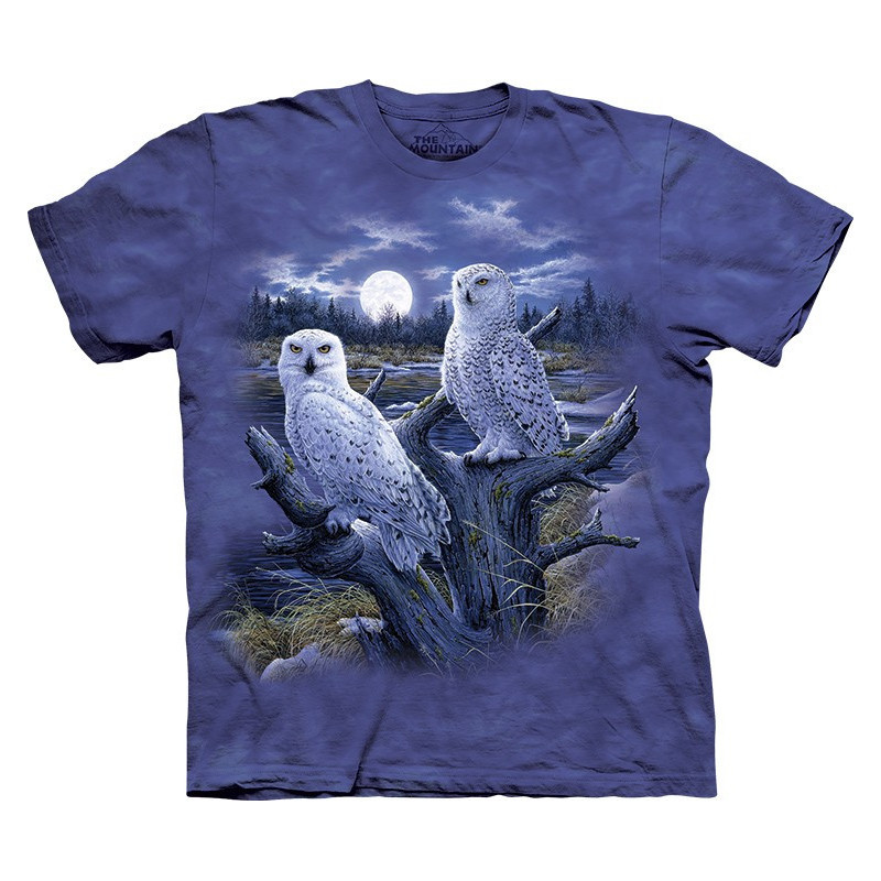 Snowy Owls