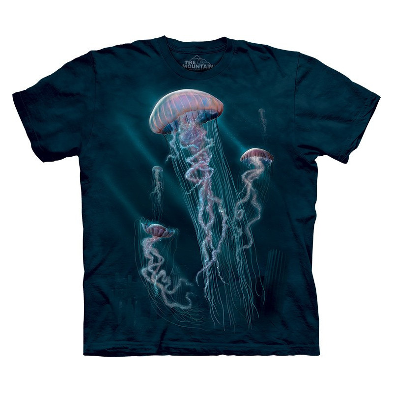 Jellyfish