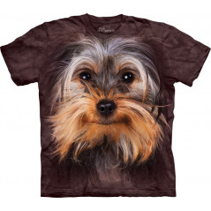 Yorkshire Terrier Face