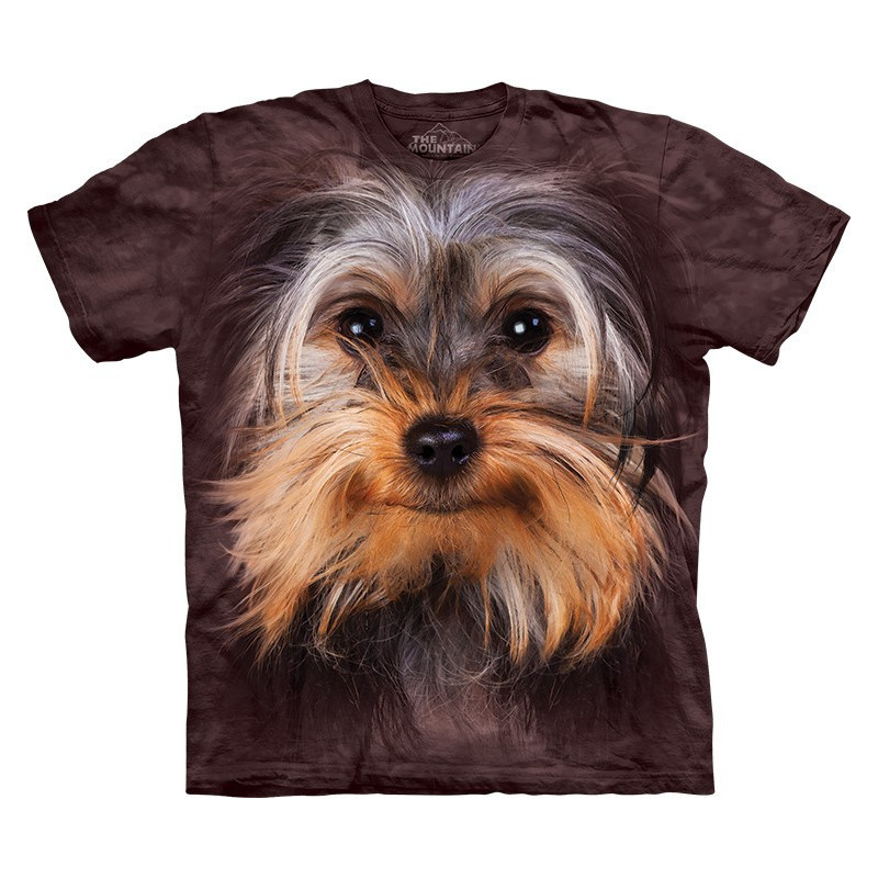 Yorkshire Terrier Face