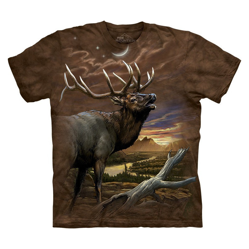 Elk at Dusk