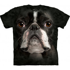 Boston Terrier Face