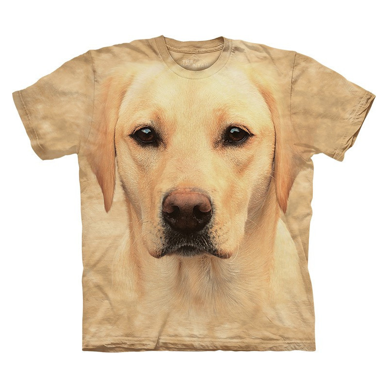 Yellow Lab Portrait