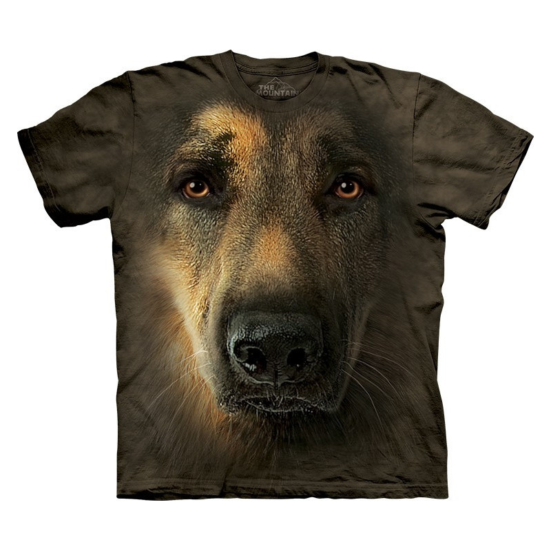 German Shepherd Portrait