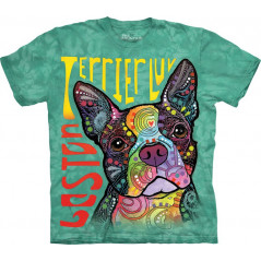 Boston Terrier Luv