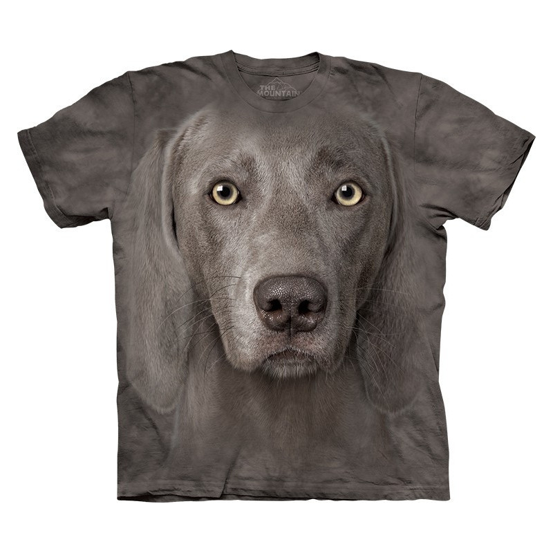 Weimaraner