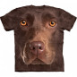 Chocolate Lab Face