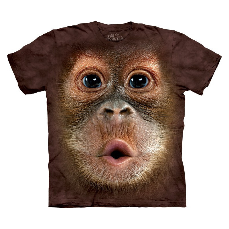 Big Face Baby Orangutan