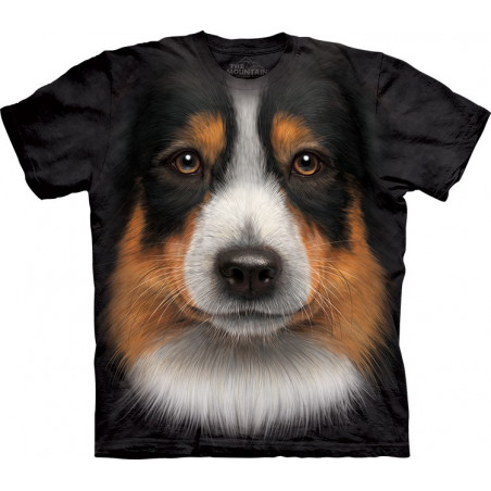 Australian Shepherd