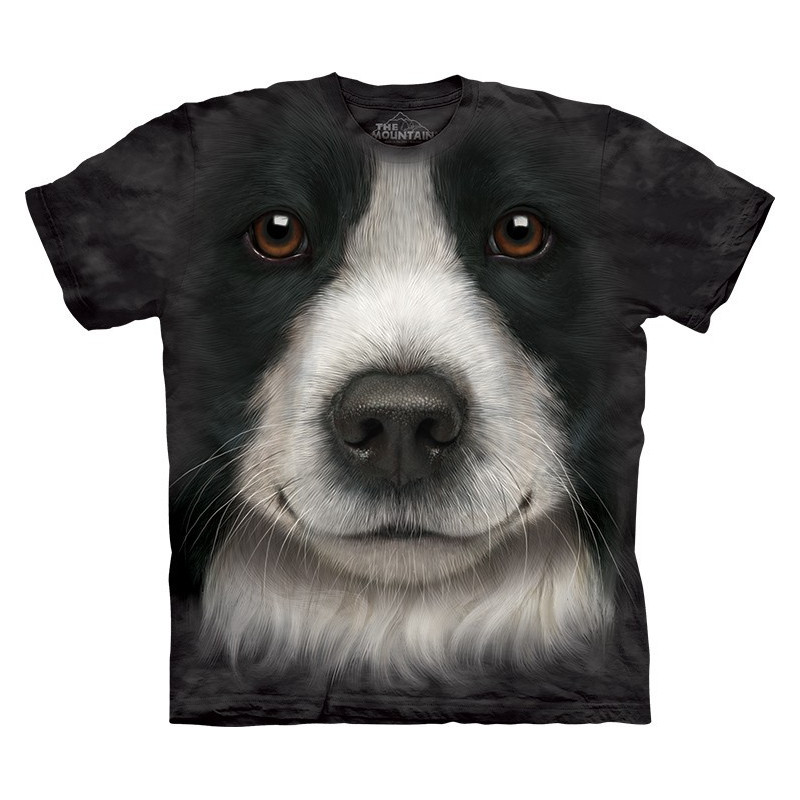 Border Collie Face