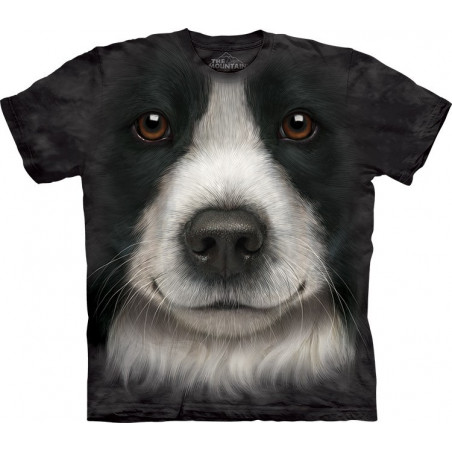 Border Collie Face