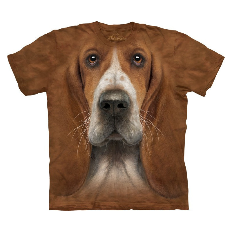 Basset Hound Head