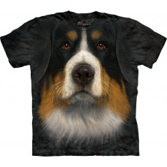 Bernese Mountain Dog Face