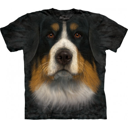 Bernese Mountain Dog Face