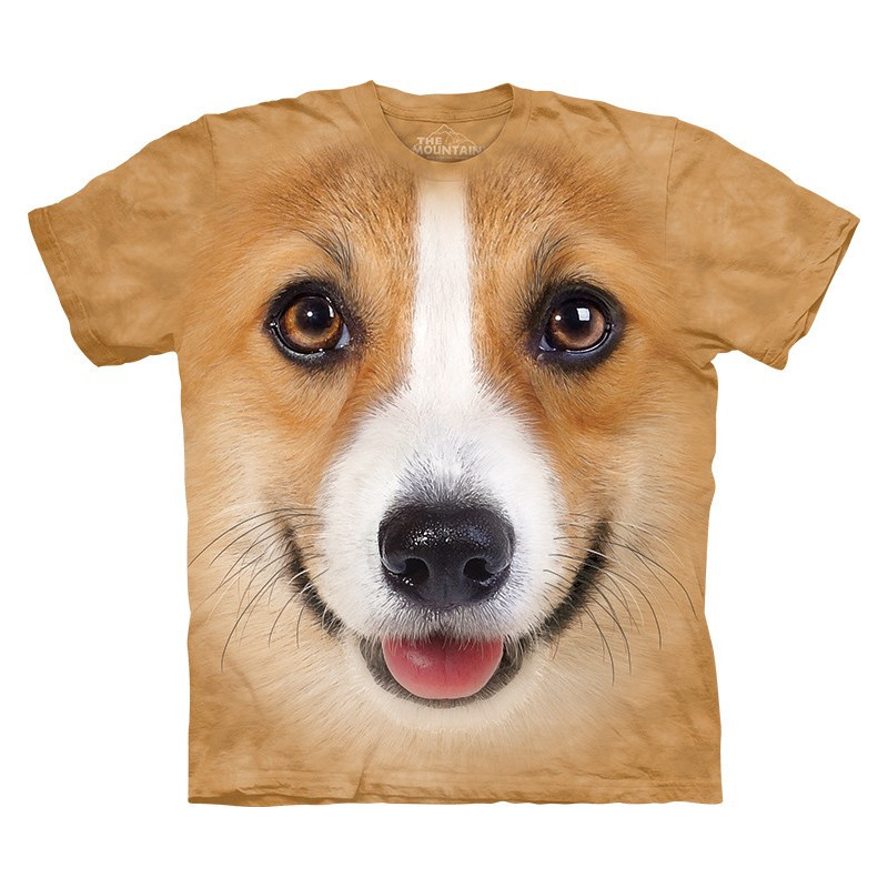 Corgi