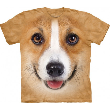 Corgi