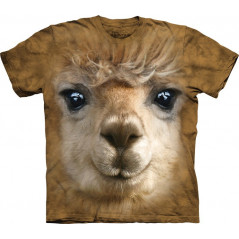 Big Face Alpaca