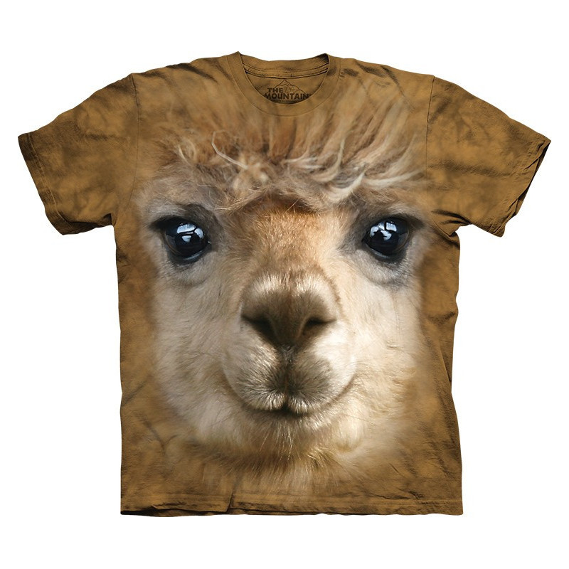 Big Face Alpaca