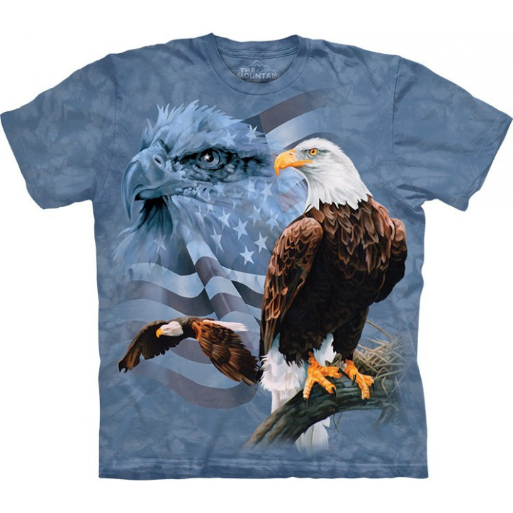 Faded Flag Eagles T-Shirt