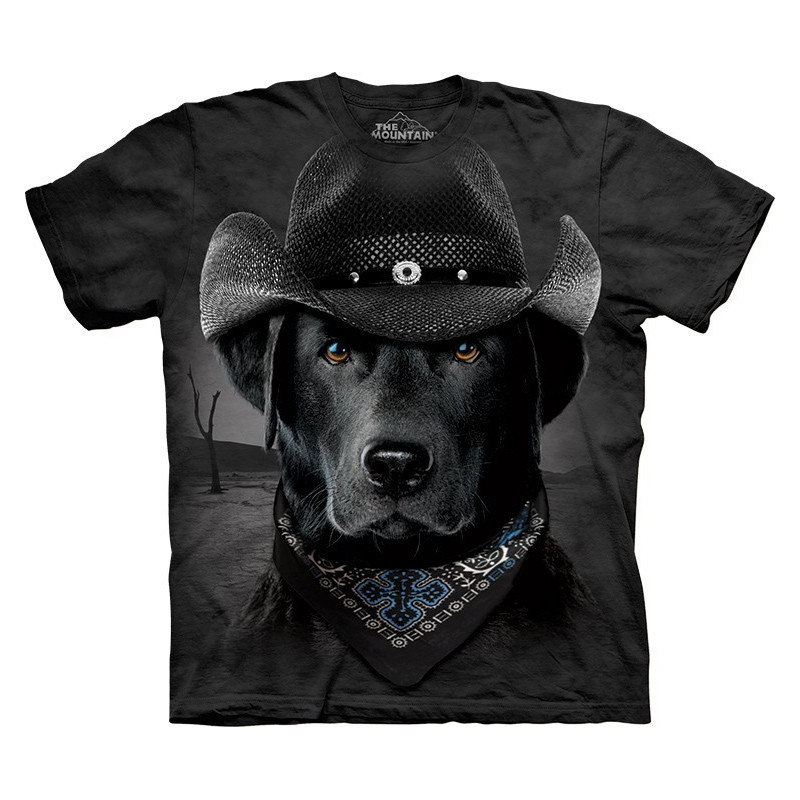 Cowboy Lab