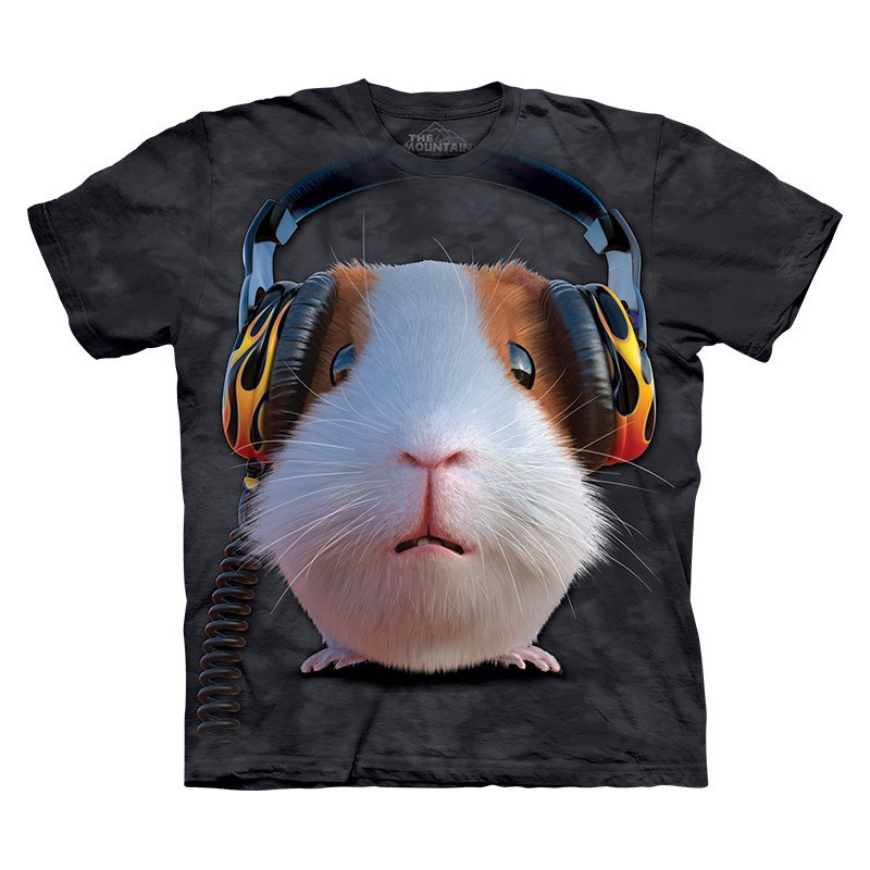 DJ Guinea Pig