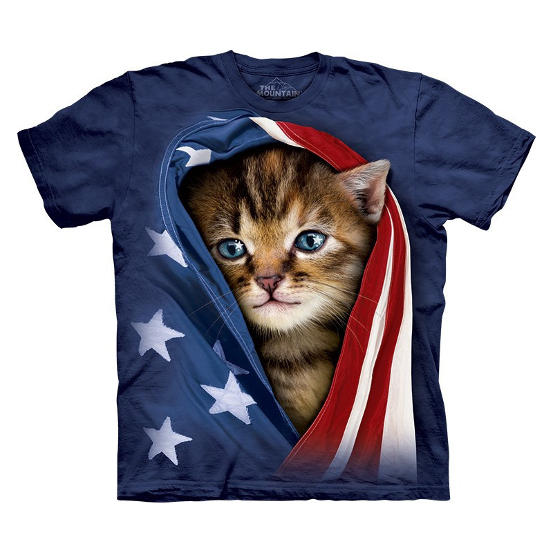 Patriotic Kitten